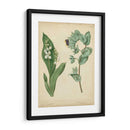 Cottage Florals Iv - Sydenham Edwards | Cuadro decorativo de Canvas Lab
