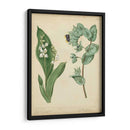 Cottage Florals Iv - Sydenham Edwards | Cuadro decorativo de Canvas Lab