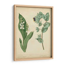 Cottage Florals Iv - Sydenham Edwards | Cuadro decorativo de Canvas Lab