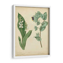 Cottage Florals Iv - Sydenham Edwards | Cuadro decorativo de Canvas Lab