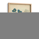 Casa De Campo Florales V - Sydenham Edwards | Cuadro decorativo de Canvas Lab