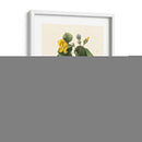 Catesby Butterfly Y Botanical I - Mark Catesby | Cuadro decorativo de Canvas Lab