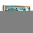 Detalle De Agave I - Alison Jerry | Cuadro decorativo de Canvas Lab