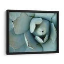 Detalle De Agave Ii - Alison Jerry | Cuadro decorativo de Canvas Lab