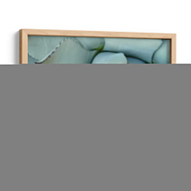 Detalle De Agave Ii - Alison Jerry | Cuadro decorativo de Canvas Lab