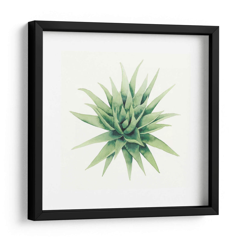 Planta Tropical Iii - Grace Popp | Cuadro decorativo de Canvas Lab