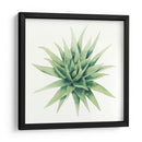 Planta Tropical Iii - Grace Popp | Cuadro decorativo de Canvas Lab