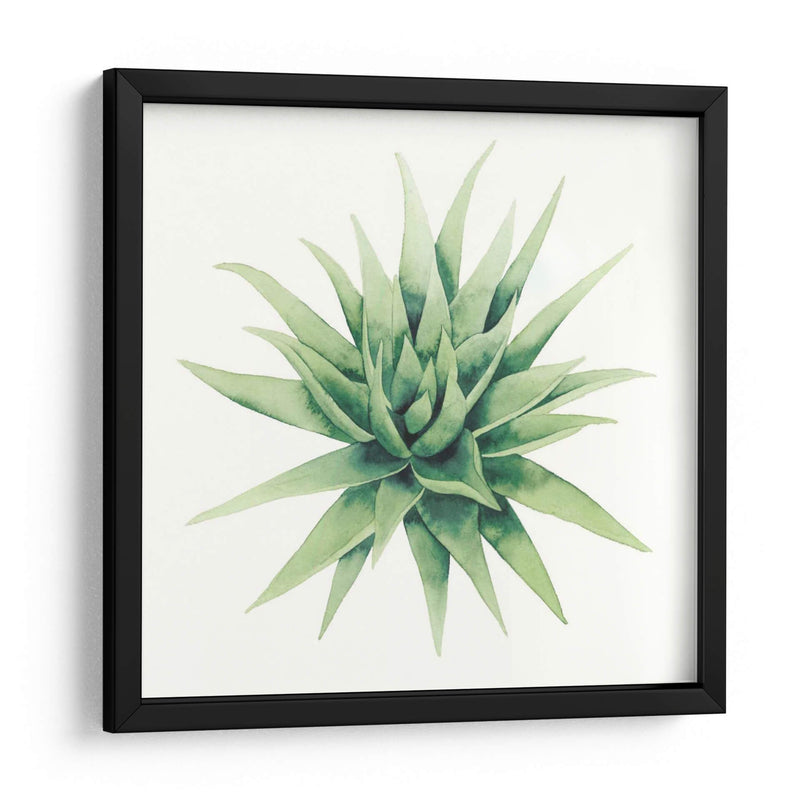 Planta Tropical Iii - Grace Popp | Cuadro decorativo de Canvas Lab