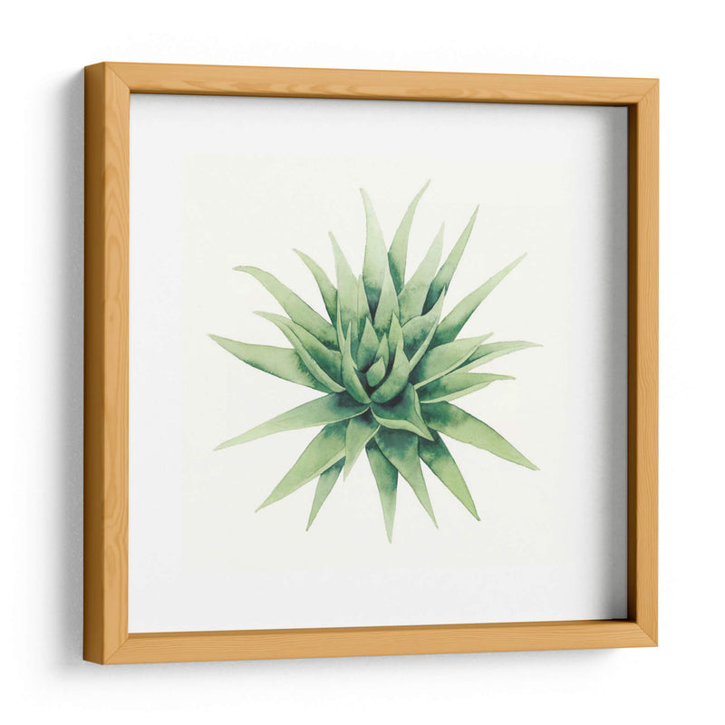 Planta Tropical Iii - Grace Popp | Cuadro decorativo de Canvas Lab