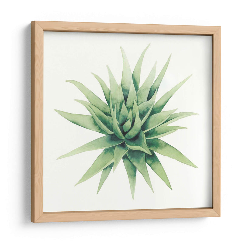 Planta Tropical Iii - Grace Popp | Cuadro decorativo de Canvas Lab