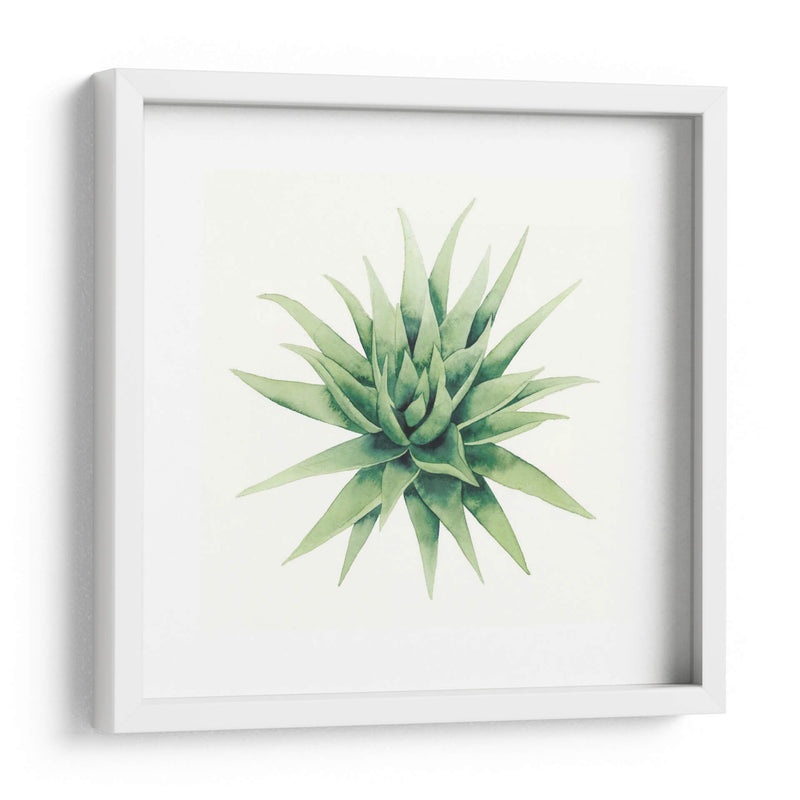 Planta Tropical Iii - Grace Popp | Cuadro decorativo de Canvas Lab