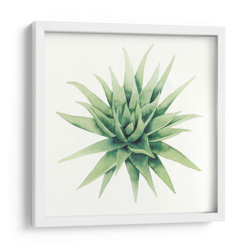 Planta Tropical Iii - Grace Popp | Cuadro decorativo de Canvas Lab