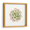 Planta Tropical Iv - Grace Popp | Cuadro decorativo de Canvas Lab