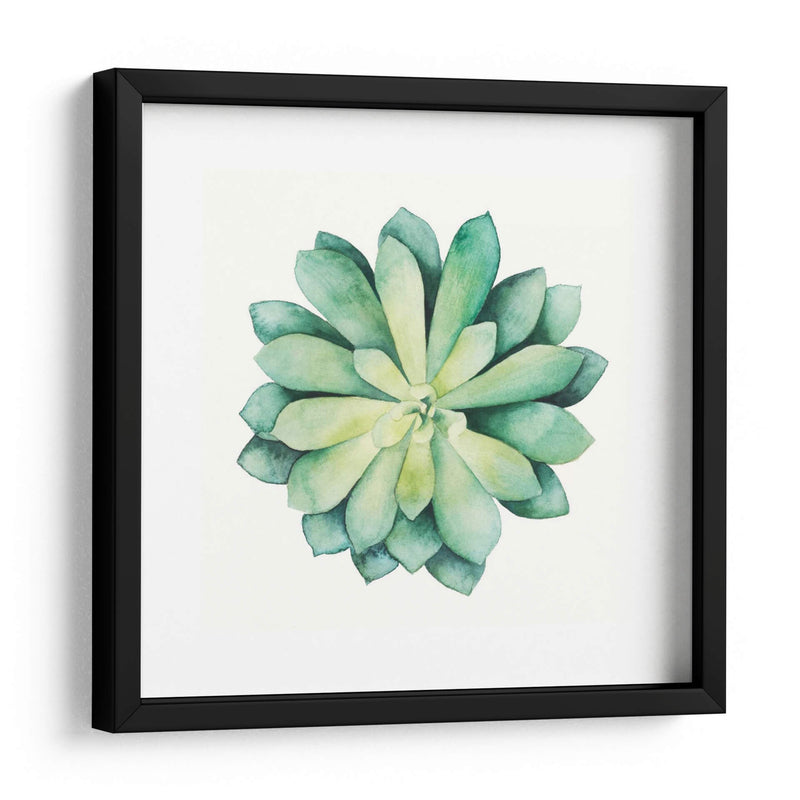 Planta Tropical Vi - Grace Popp | Cuadro decorativo de Canvas Lab