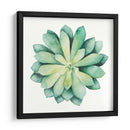 Planta Tropical Vi - Grace Popp | Cuadro decorativo de Canvas Lab