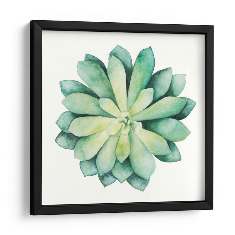 Planta Tropical Vi - Grace Popp | Cuadro decorativo de Canvas Lab