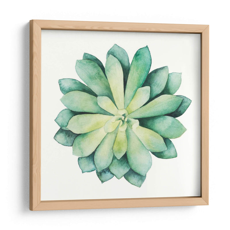 Planta Tropical Vi - Grace Popp | Cuadro decorativo de Canvas Lab