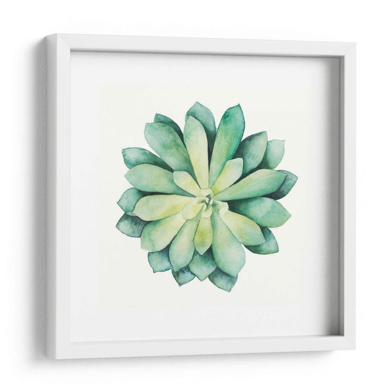 Planta Tropical Vi - Grace Popp | Cuadro decorativo de Canvas Lab