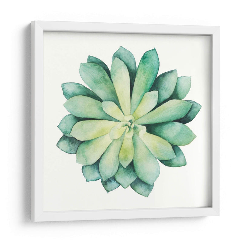 Planta Tropical Vi - Grace Popp | Cuadro decorativo de Canvas Lab