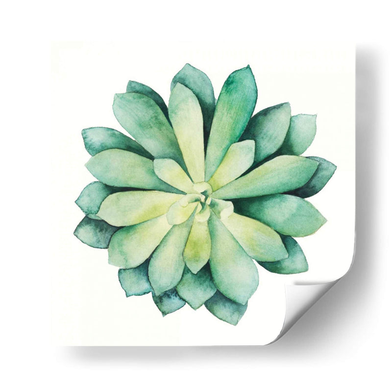 Planta Tropical Vi - Grace Popp | Cuadro decorativo de Canvas Lab