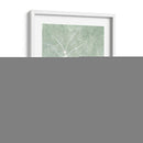 Botánicos Esenciales I - Jarman Fagalde | Cuadro decorativo de Canvas Lab