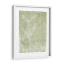 Botánicos Esenciales Iv - Jarman Fagalde | Cuadro decorativo de Canvas Lab