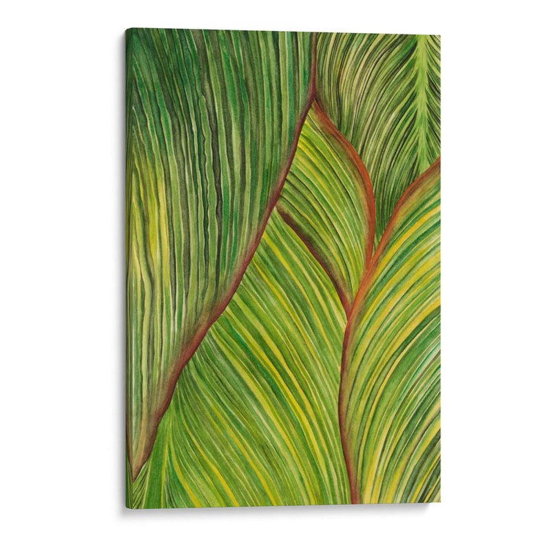 Cultivo Tropical Ii - Melissa Wang | Cuadro decorativo de Canvas Lab