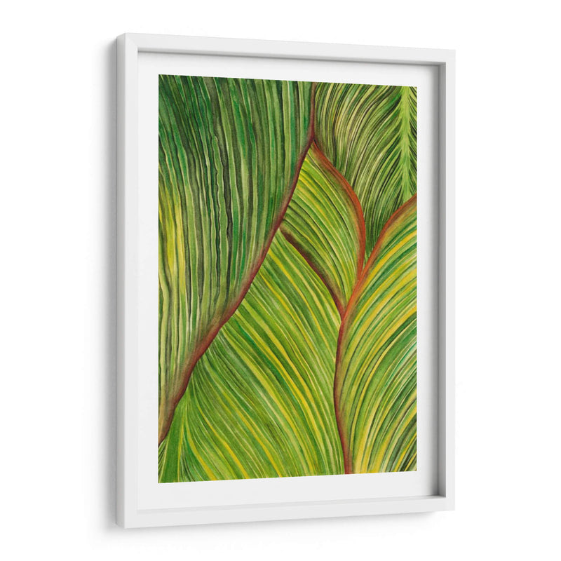 Cultivo Tropical Ii - Melissa Wang | Cuadro decorativo de Canvas Lab