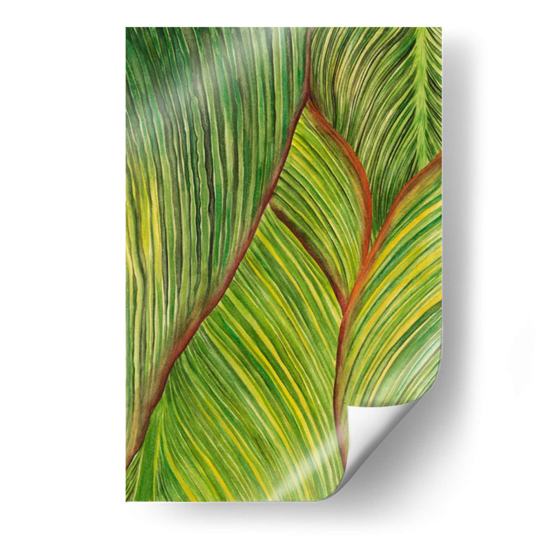 Cultivo Tropical Ii - Melissa Wang | Cuadro decorativo de Canvas Lab