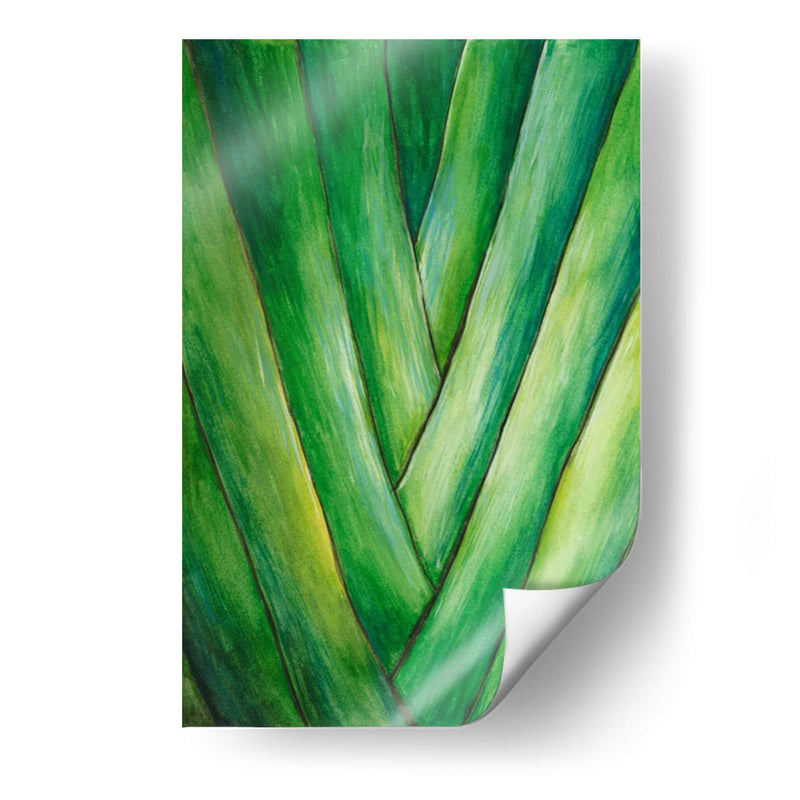 Cultivo Tropical Iii - Melissa Wang | Cuadro decorativo de Canvas Lab