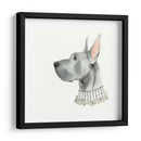 Haute Hounds I - Grace Popp | Cuadro decorativo de Canvas Lab