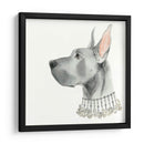 Haute Hounds I - Grace Popp | Cuadro decorativo de Canvas Lab