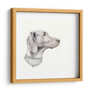 Haute Hounds Ii - Grace Popp | Cuadro decorativo de Canvas Lab