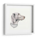Haute Hounds Ii - Grace Popp | Cuadro decorativo de Canvas Lab