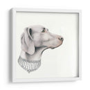 Haute Hounds Ii - Grace Popp | Cuadro decorativo de Canvas Lab