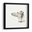 Haute Hounds Iii - Grace Popp | Cuadro decorativo de Canvas Lab