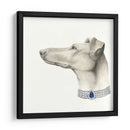 Haute Hounds Iii - Grace Popp | Cuadro decorativo de Canvas Lab