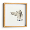 Haute Hounds Iii - Grace Popp | Cuadro decorativo de Canvas Lab
