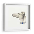 Haute Hounds Iii - Grace Popp | Cuadro decorativo de Canvas Lab
