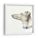 Haute Hounds Iii - Grace Popp | Cuadro decorativo de Canvas Lab