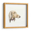 Haute Hounds Iv - Grace Popp | Cuadro decorativo de Canvas Lab