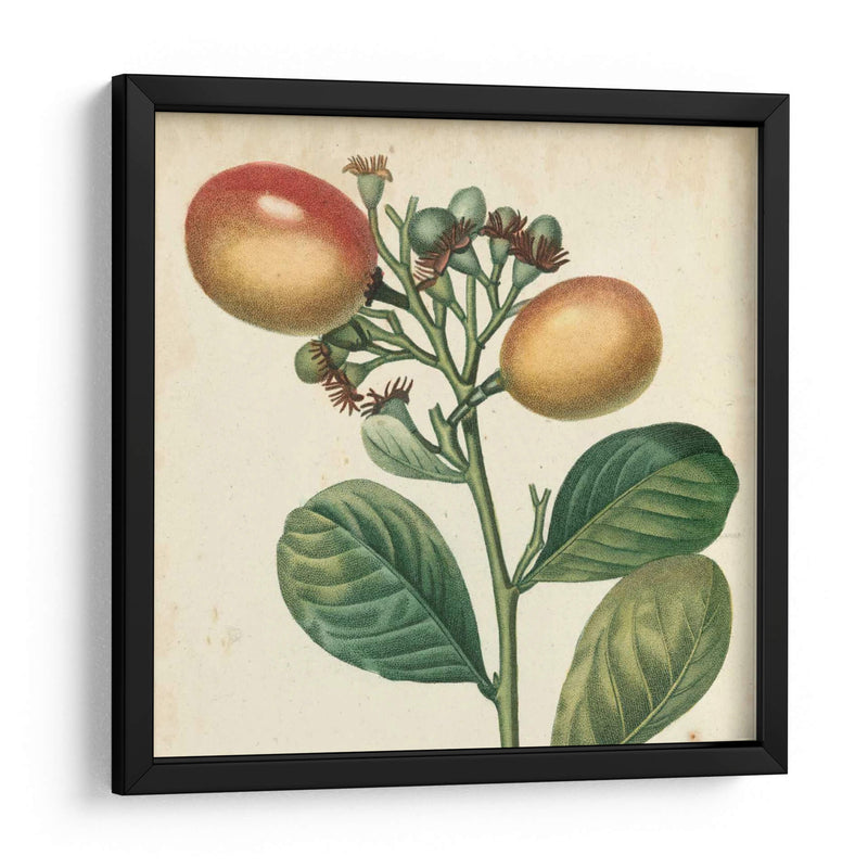 Bounty Garden I - Vision Studio | Cuadro decorativo de Canvas Lab