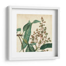 Bounty Ii Del Jardín - Vision Studio | Cuadro decorativo de Canvas Lab