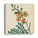 Garden Bounty Iii - Vision Studio | Cuadro decorativo de Canvas Lab