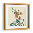 Garden Bounty Iii - Vision Studio | Cuadro decorativo de Canvas Lab