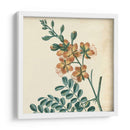 Garden Bounty Iii - Vision Studio | Cuadro decorativo de Canvas Lab