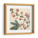 Garden Bounty Iv - Vision Studio | Cuadro decorativo de Canvas Lab