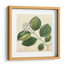 Garden Bounty Vii - Vision Studio | Cuadro decorativo de Canvas Lab