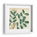 Garden Bounty Ix - Vision Studio | Cuadro decorativo de Canvas Lab