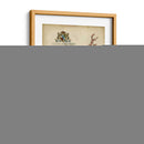 Coral Imperial Ii - Vision Studio | Cuadro decorativo de Canvas Lab